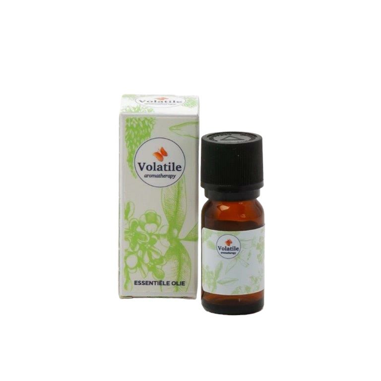 Volatile Anijs Ster - Illicium Verum 10 ml